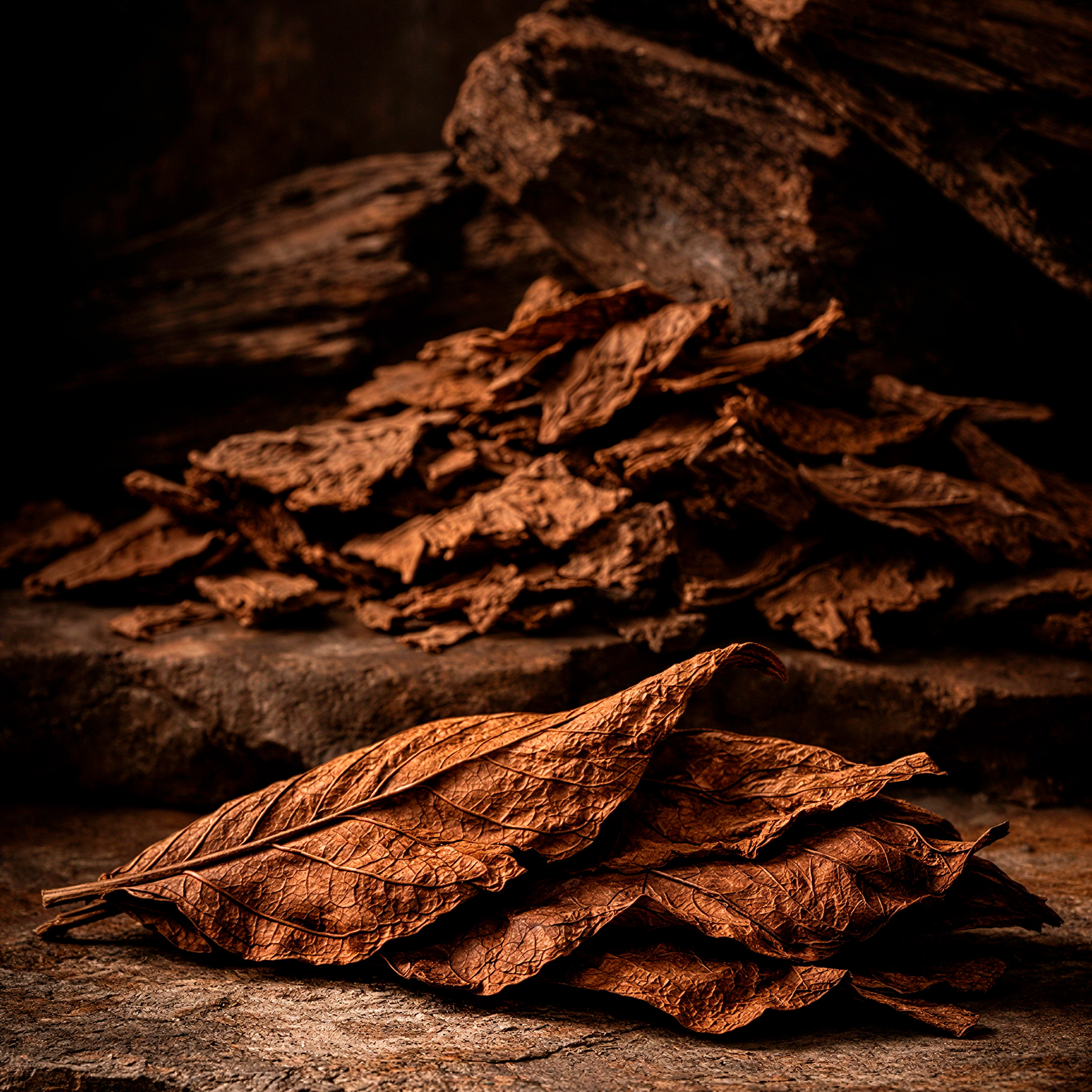 Диффузор для автомобиля Fjorn 17