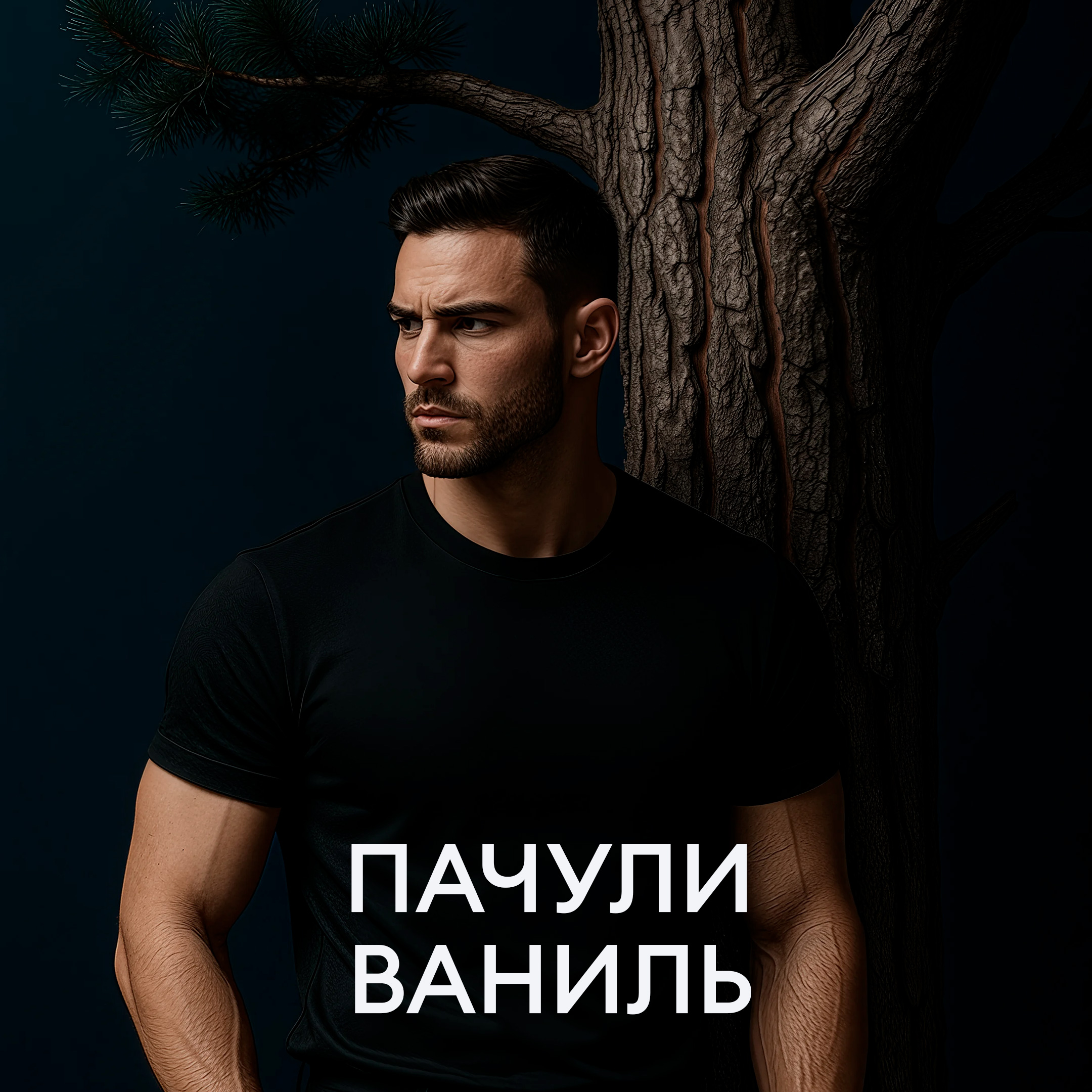 Диффузор для автомобиля Patchouli Vanilla