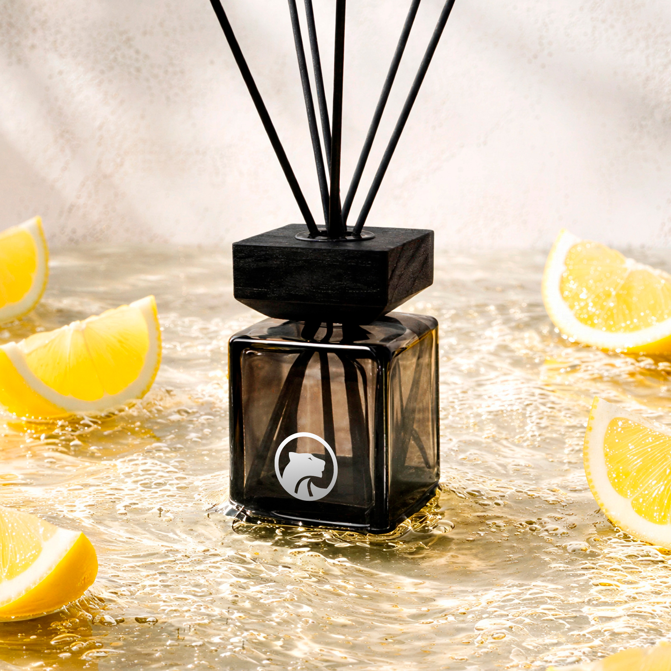 Ароматический диффузор Eryn 05 100 мл